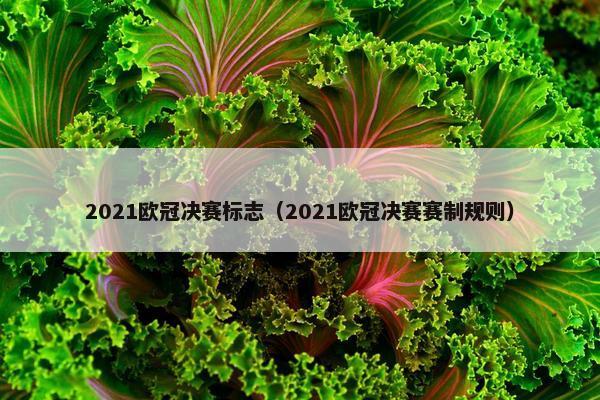 2021欧冠决赛标志（2021欧冠决赛赛制规则）