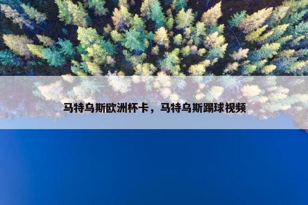 马特乌斯欧洲杯卡，马特乌斯踢球视频