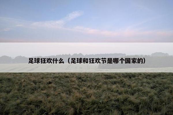 足球狂欢什么（足球和狂欢节是哪个国家的）