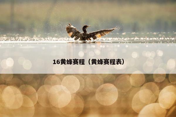 16黄蜂赛程（黄蜂赛程表）