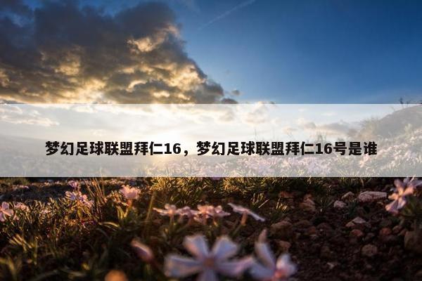 梦幻足球联盟拜仁16，梦幻足球联盟拜仁16号是谁