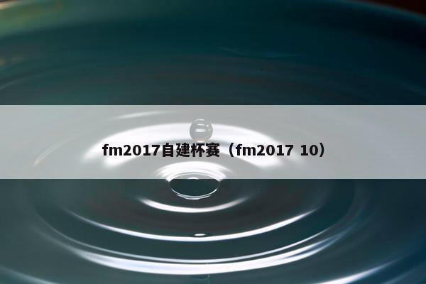fm2017自建杯赛（fm2017 10）