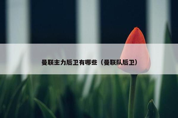 曼联主力后卫有哪些（曼联队后卫）