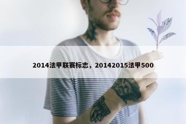 2014法甲联赛标志，20142015法甲500