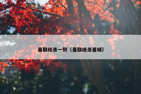 曼联绝杀一刻（曼联绝杀曼城）