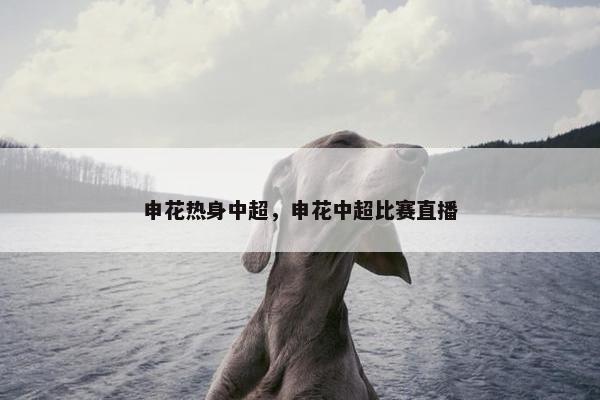 申花热身中超，申花中超比赛直播