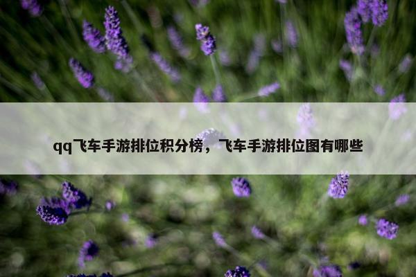 qq飞车手游排位积分榜，飞车手游排位图有哪些