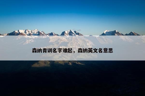 森纳青训名字谁起，森纳英文名意思