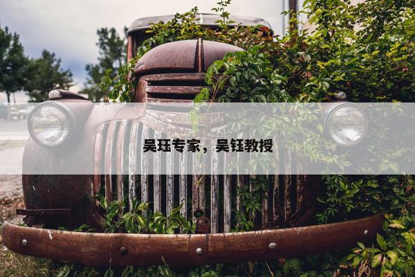 吴珏专家，吴钰教授