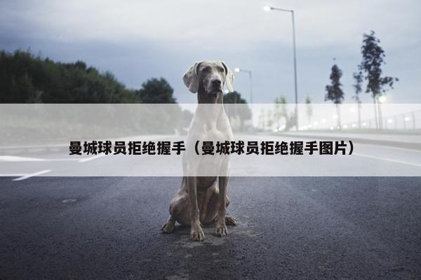 曼城球员拒绝握手（曼城球员拒绝握手图片）