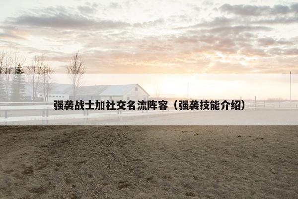 强袭战士加社交名流阵容（强袭技能介绍）