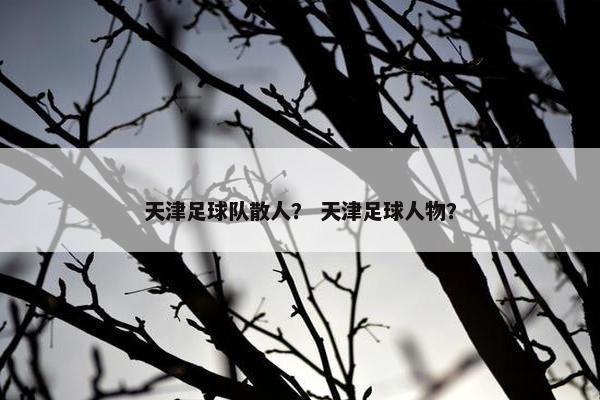 天津足球队散人？ 天津足球人物？