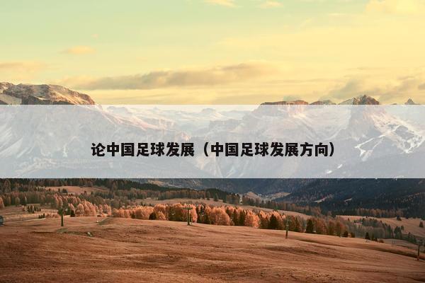 论中国足球发展（中国足球发展方向）