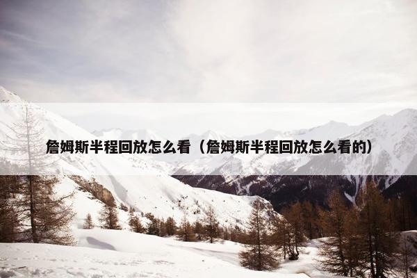 詹姆斯半程回放怎么看（詹姆斯半程回放怎么看的）