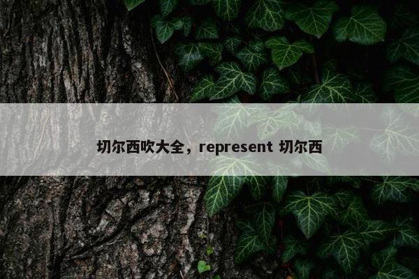 切尔西吹大全，represent 切尔西