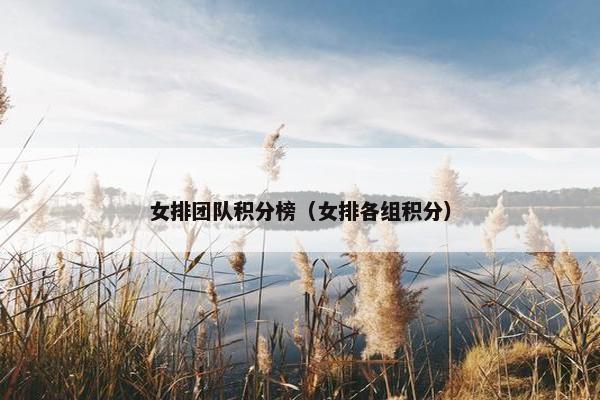 女排团队积分榜（女排各组积分）