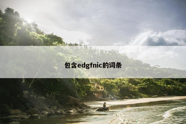 包含edgfnic的词条