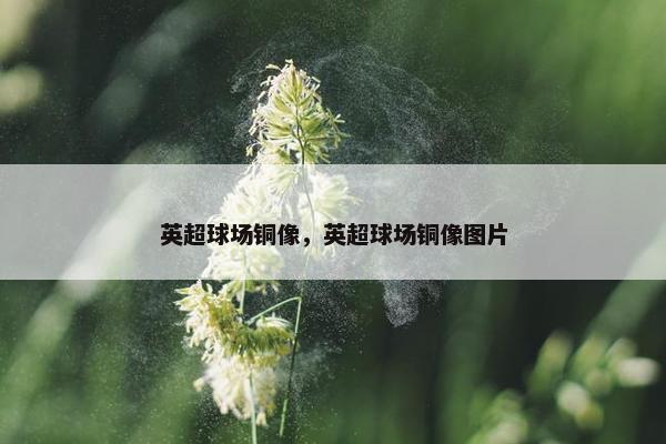 英超球场铜像，英超球场铜像图片