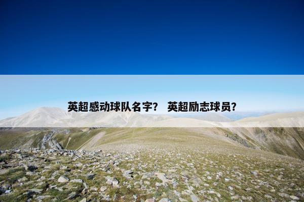 英超感动球队名字？ 英超励志球员？