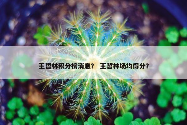 王哲林积分榜消息？ 王哲林场均得分？