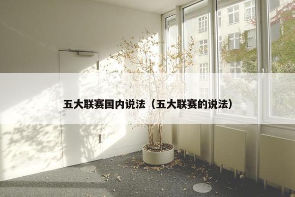 五大联赛国内说法（五大联赛的说法）