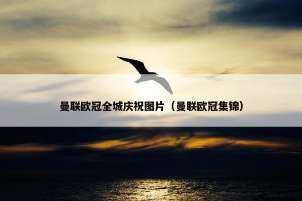 曼联欧冠全城庆祝图片（曼联欧冠集锦）
