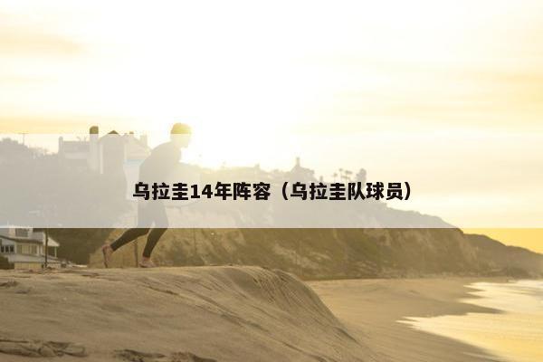 乌拉圭14年阵容（乌拉圭队球员）