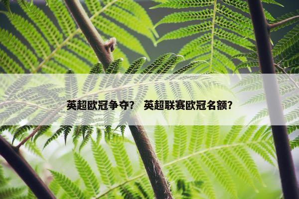 英超欧冠争夺？ 英超联赛欧冠名额？