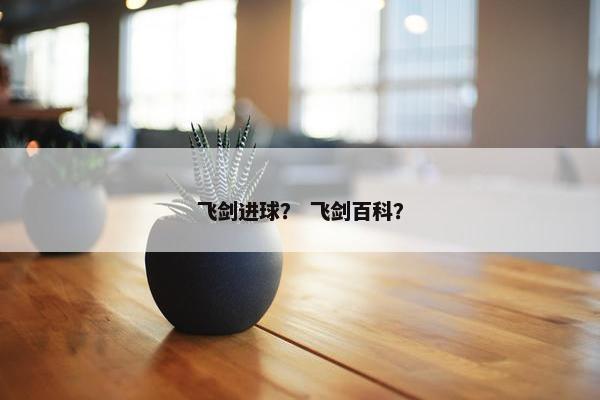飞剑进球？ 飞剑百科？