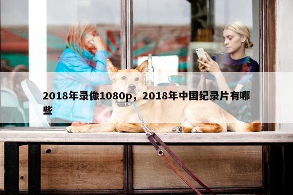 2018年录像1080p，2018年中国纪录片有哪些
