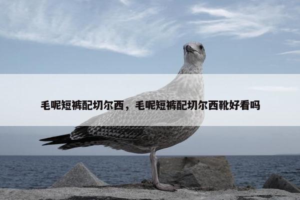 毛呢短裤配切尔西，毛呢短裤配切尔西靴好看吗