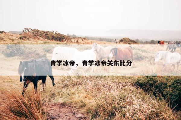 青学冰帝，青学冰帝关东比分