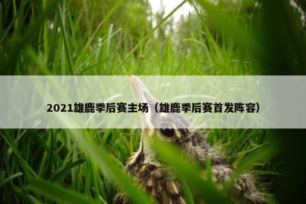 2021雄鹿季后赛主场（雄鹿季后赛首发阵容）
