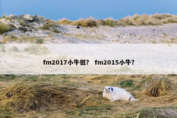 fm2017小牛低？ fm2015小牛？
