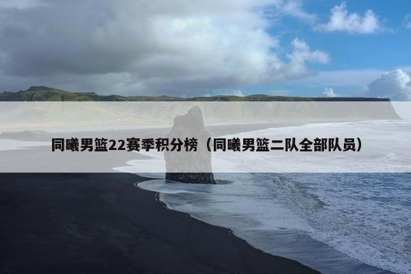 同曦男篮22赛季积分榜（同曦男篮二队全部队员）