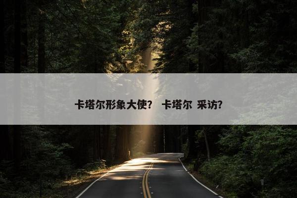 卡塔尔形象大使？ 卡塔尔 采访？
