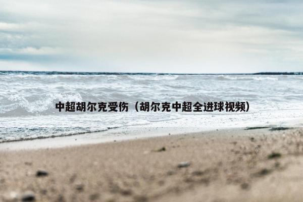 中超胡尔克受伤（胡尔克中超全进球视频）
