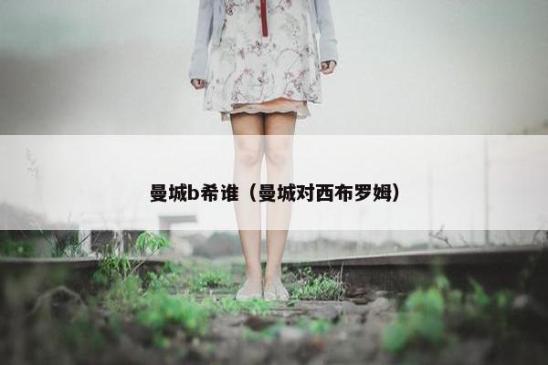 曼城b希谁（曼城对西布罗姆）