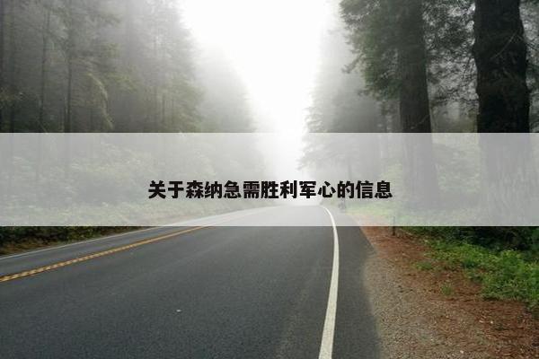 关于森纳急需胜利军心的信息
