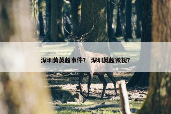 深圳黄英超事件？ 深圳英超微视？