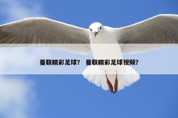 曼联精彩足球？ 曼联精彩足球视频？