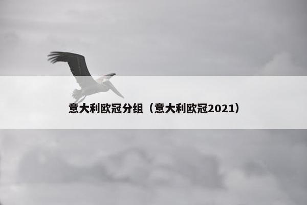 意大利欧冠分组（意大利欧冠2021）