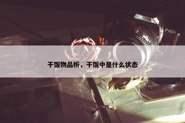 干饭物品析，干饭中是什么状态
