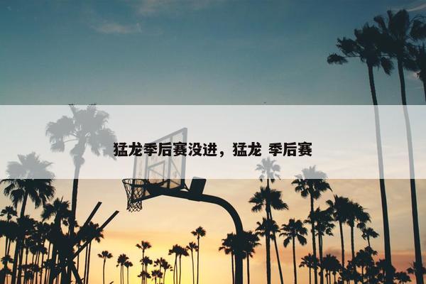 猛龙季后赛没进，猛龙 季后赛