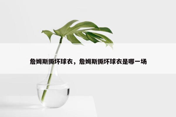 詹姆斯撕坏球衣，詹姆斯撕坏球衣是哪一场