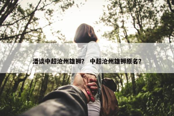潘谈中超沧州雄狮？ 中超沧州雄狮原名？