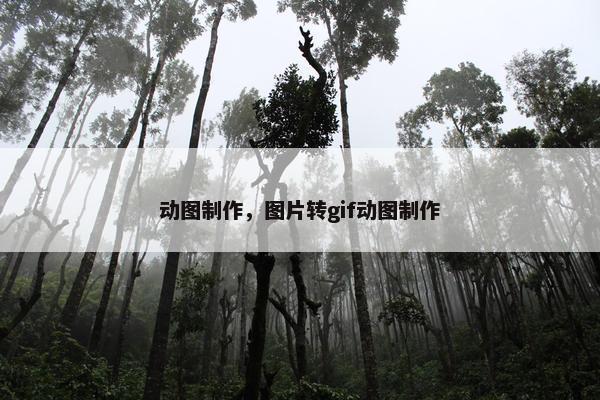 动图制作，图片转gif动图制作