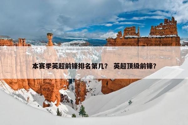 本赛季英超前锋排名第几？ 英超顶级前锋？