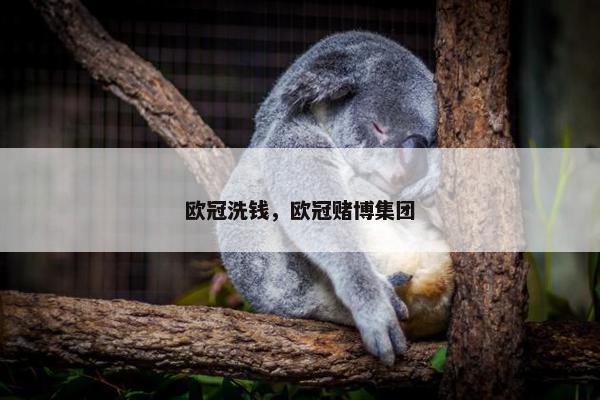 欧冠洗钱，欧冠赌博集团