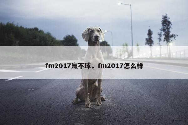 fm2017赢不球，fm2017怎么样